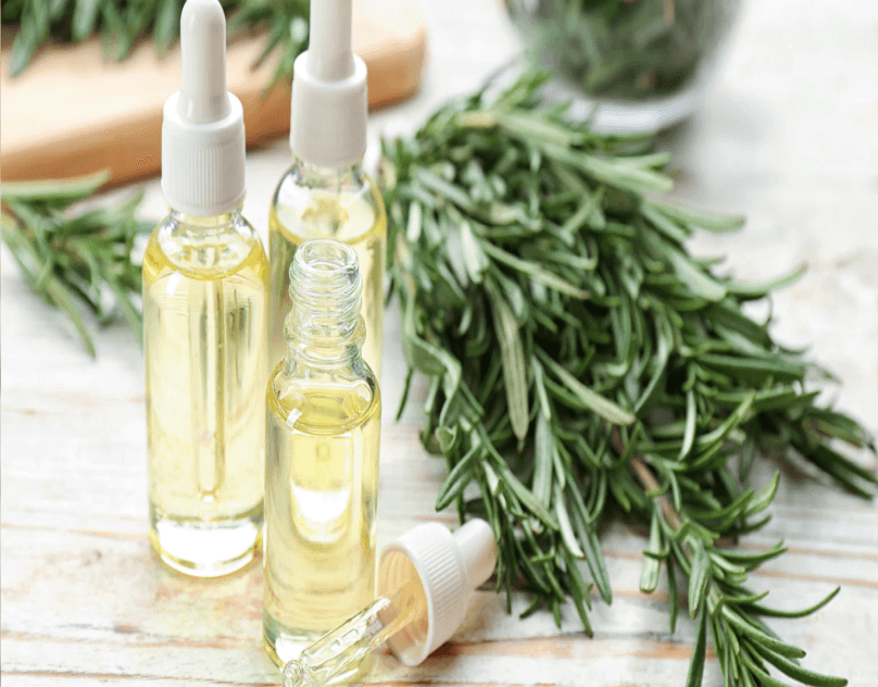 Benefits of Rosemary Oil for Your Hair